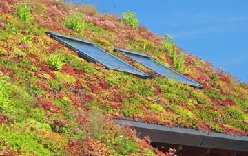 Mid Lavant living roof systems