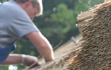 professional Mid Lavant thatchers