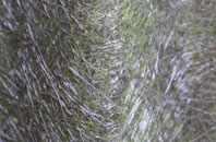 Mid Lavant fibreglass roof work